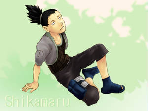 shikamaru1.jpg